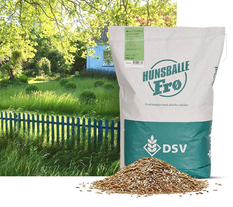 Nøjsom Svingel-blanding  10