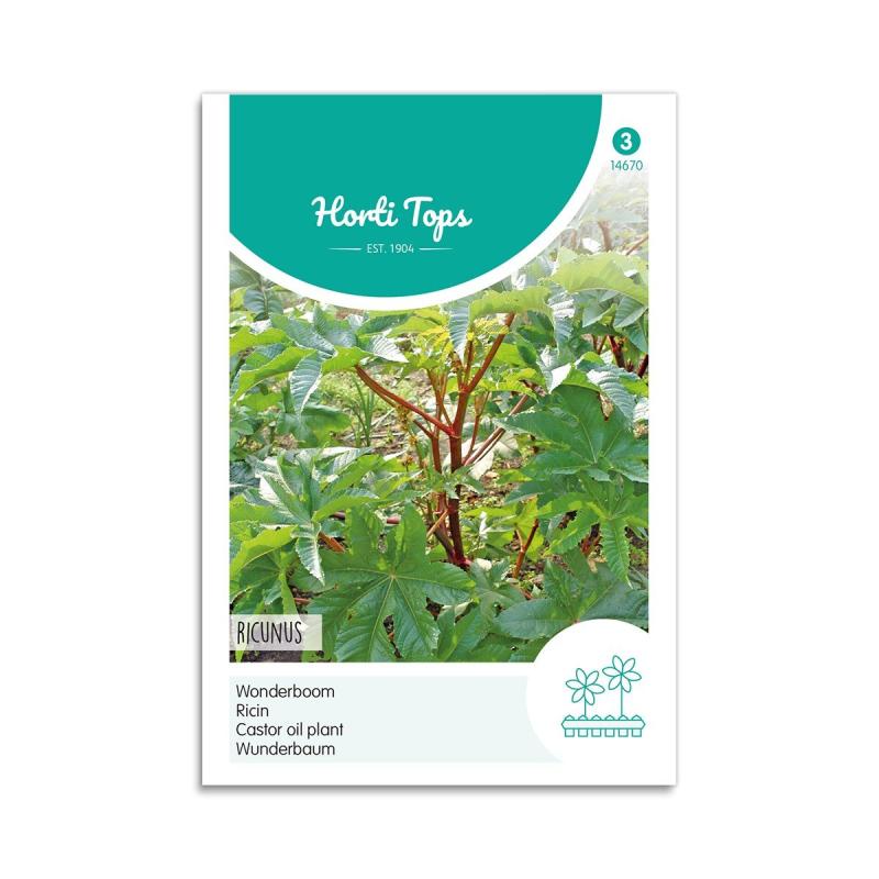 Olieplante Frø "Ricinus" fra Horti Tops - Solrigt Miljø