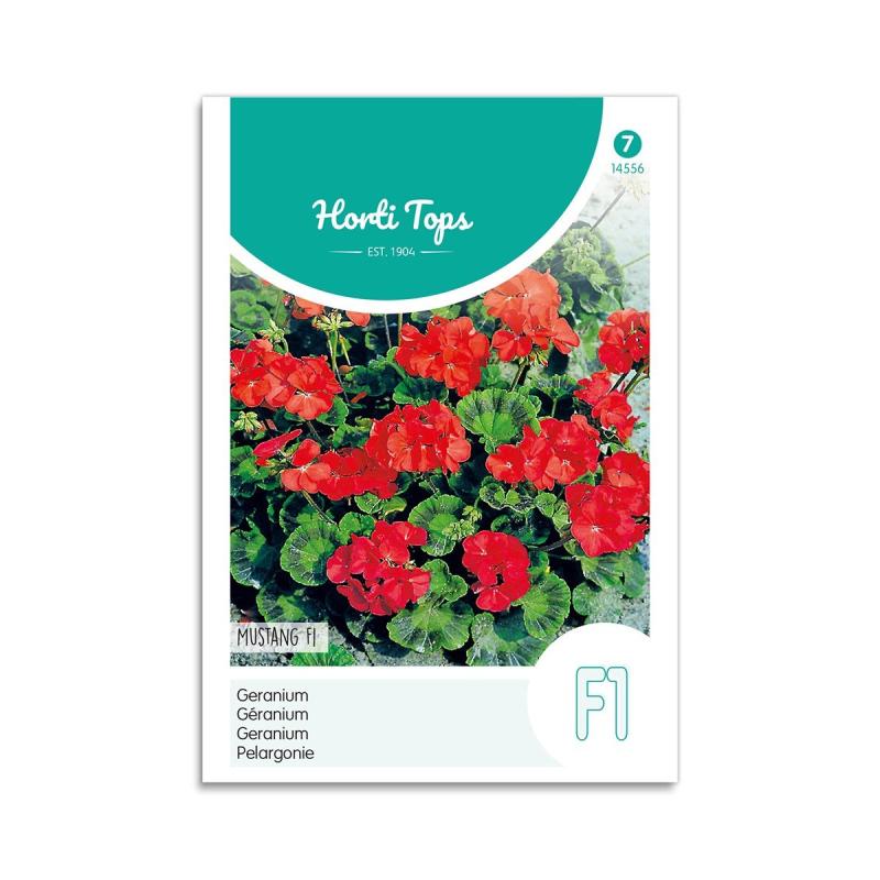 Pelargonie Frø Quot Mustang F1 Quot Horti Tops