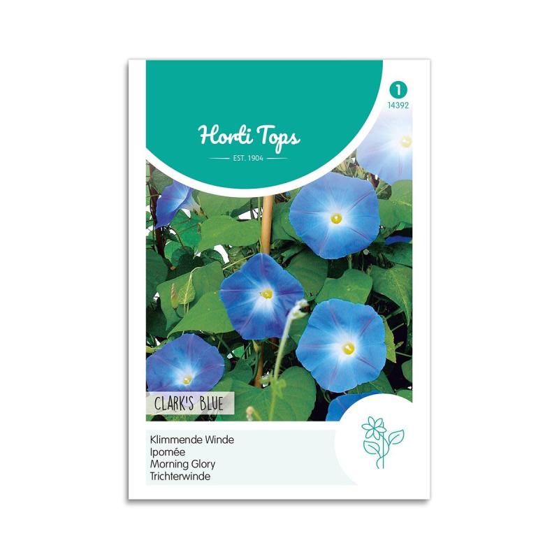 Pragtsnerle Frø  Quot Clark   Blue Quot  Horti Tops