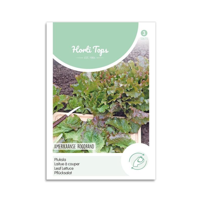 Salatfrø "Amerikaanse Roodrand" - Horti Tops