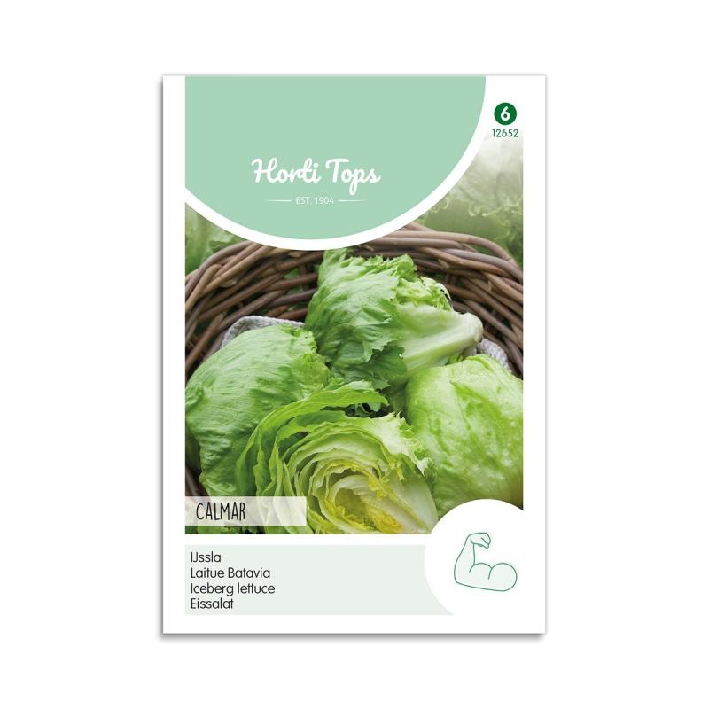 Salat Iceberg Frø  Quot Calmar Quot  Horti Tops