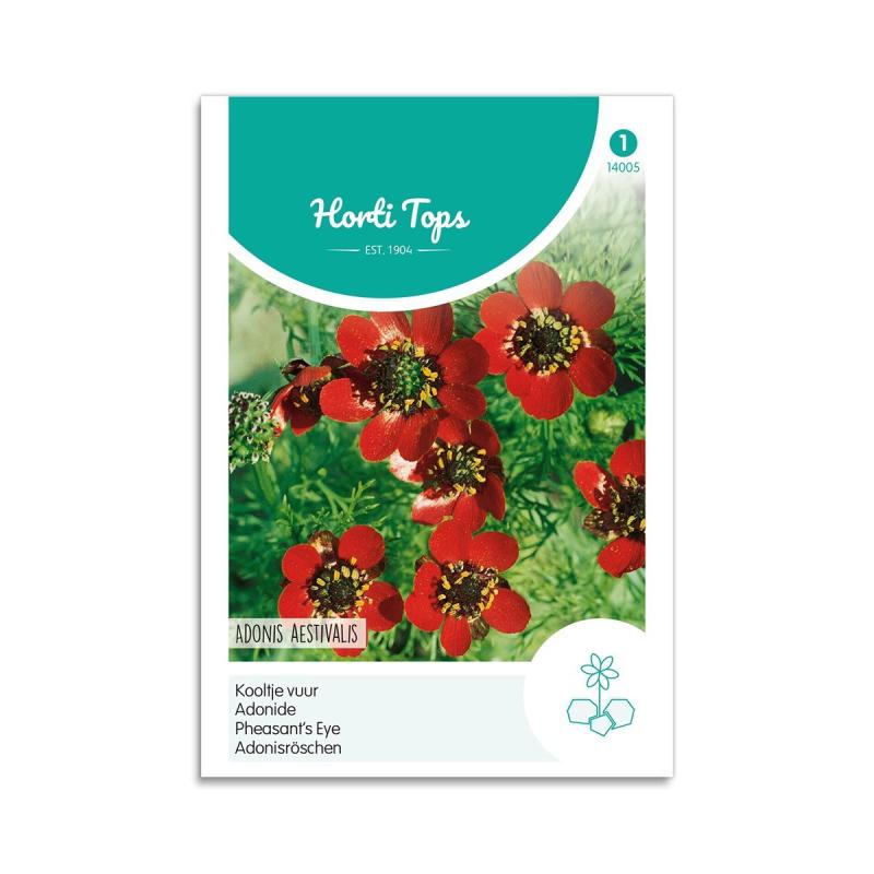 Sommeradonis Frø - Horti Tops til Dyrkning af Blomster