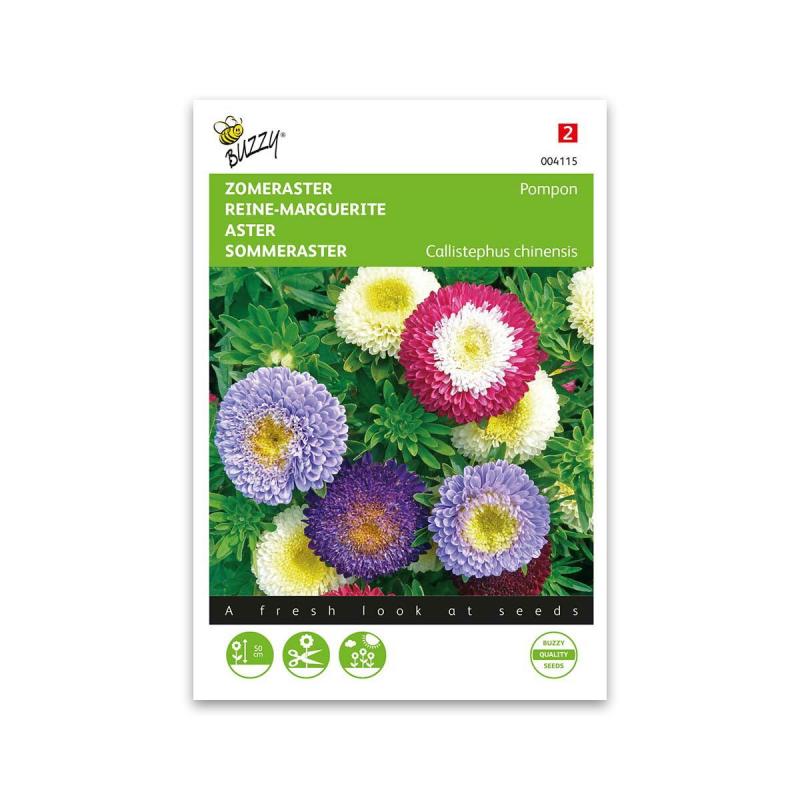 Sommerasters Frø  Pompom Mix
