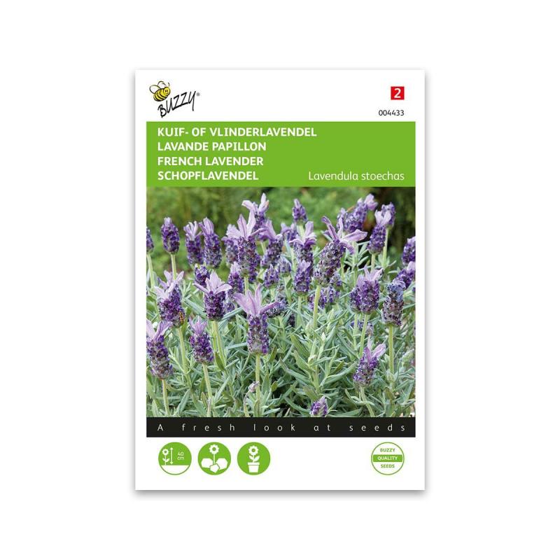 Sommerfuglelavendel Frø