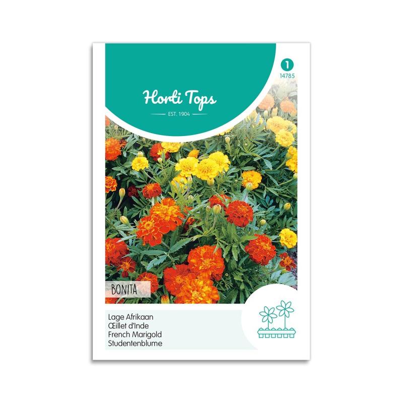 Tagetes Frø  Quot Bonita Quot  Horti Tops
