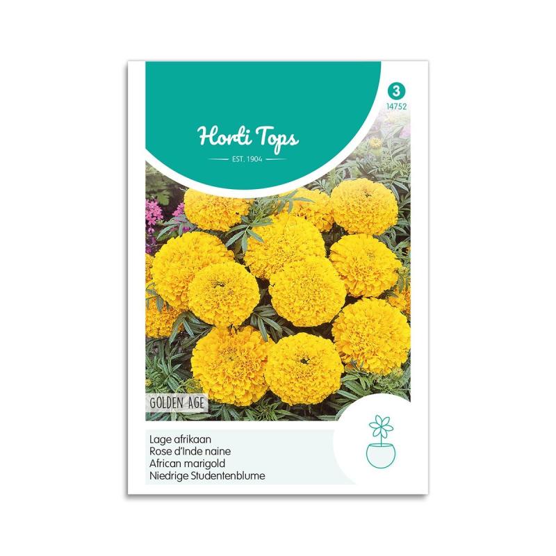 Tagetes Frø "Golden Age" - Dværgvariant til Haven