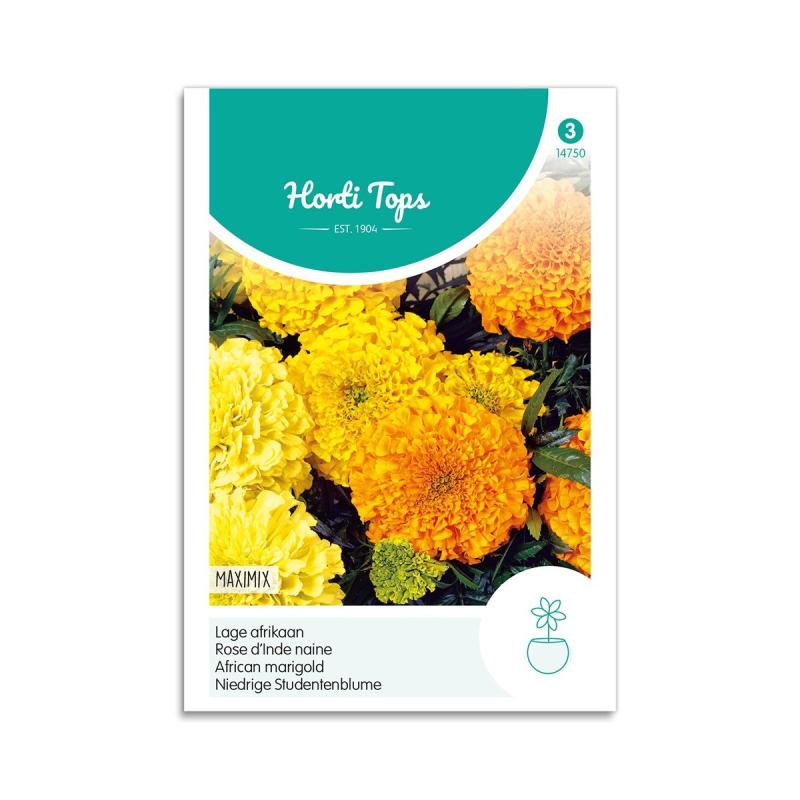 Tagetes Frø  Quot Maximix Quot  Horti Tops
