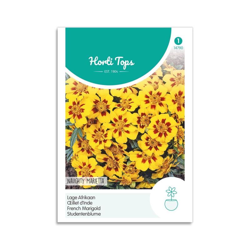 Tagetesfrø "Naughty Marietta" - Smukke Blomster til Haven