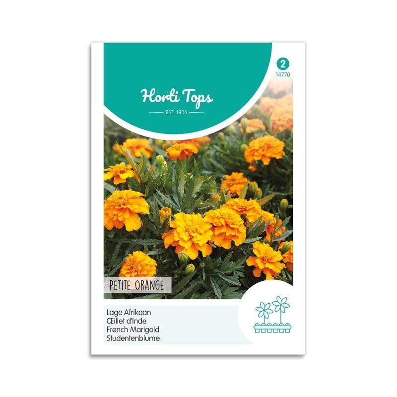 Tagetes Frø  Quot Petite Orange Quot  Horti Tops