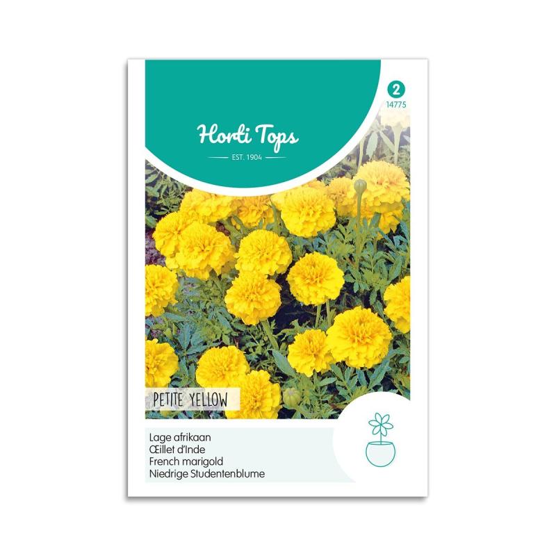 Tagetes Frø  Quot Petite Yellow Quot  Horti Tops