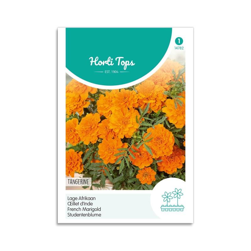 Tagetes Frø  Quot Tangerine Quot  Horti Tops