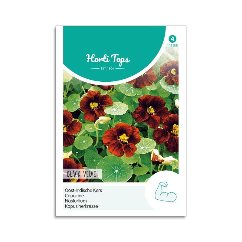 Tallerkensmækker Frø "Black Velvet" - Horti Tops Tilbud