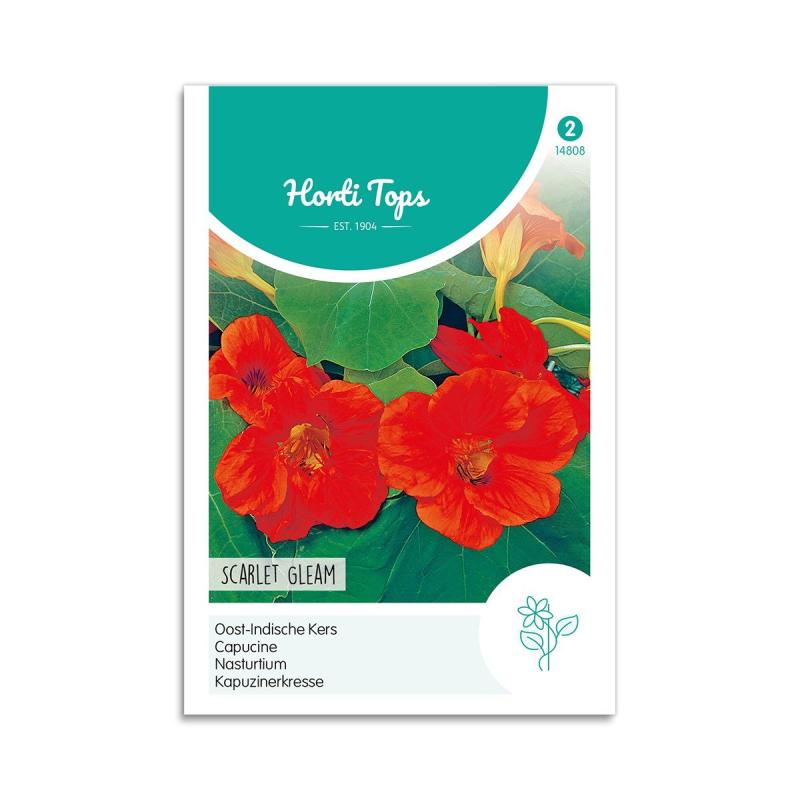 Tallerkensmækker Frø  Quot Scarlet Gleam Quot  Horti Tops