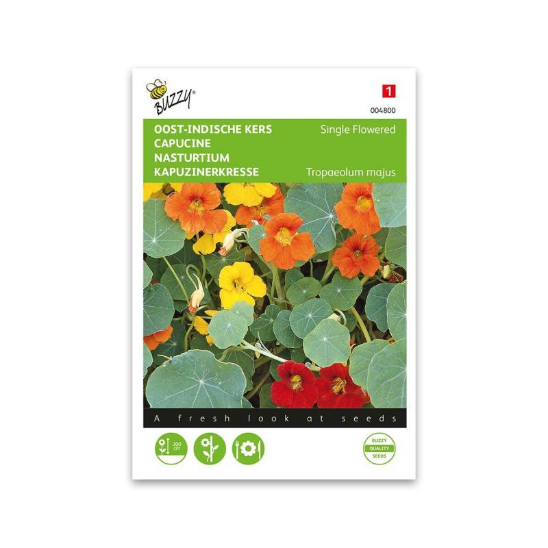 Tallerkensmækker Frø  Single Flowered Mix