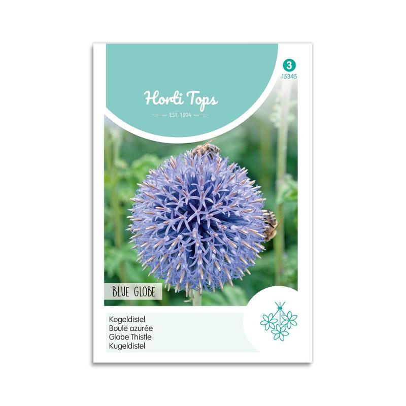 Tidselkugle Frø  Quot Blue Globe Quot  Horti Tops