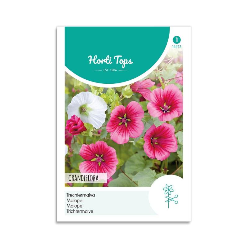 Trompetkatost Frø  Quot Grandiflora Quot  Horti Tops