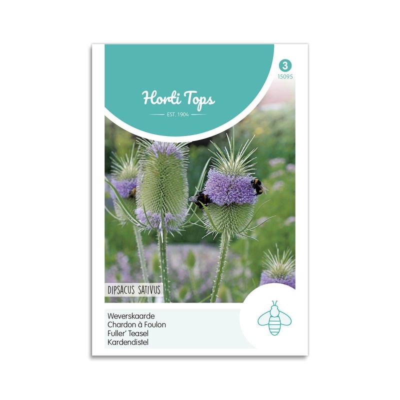 Ægte Kartebolle Frø - Dipsacus Sativus fra Horti Tops