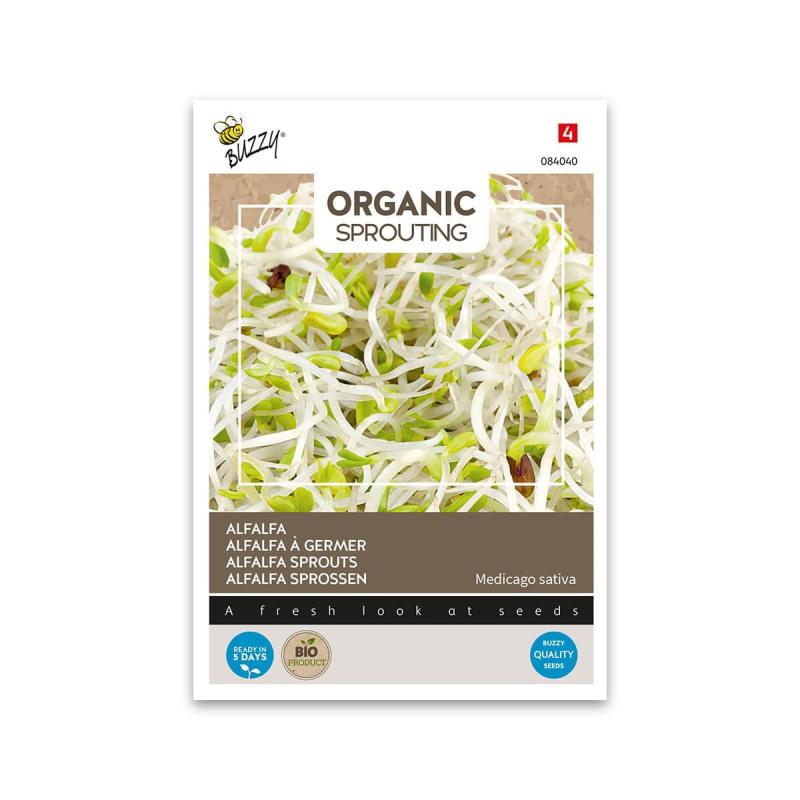 økologiske Lucernespirer Frø 30g