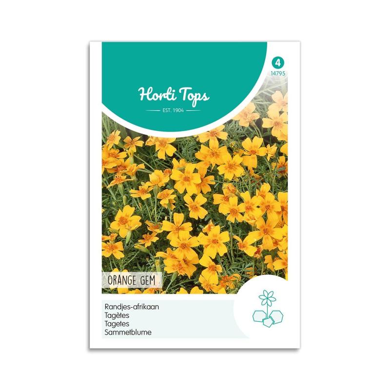 Appelsintagetes Frø  Quot Orange Gem Quot  Horti Tops