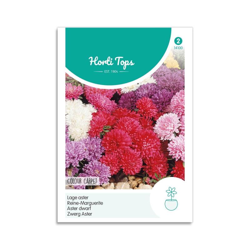 Asters Frø Mix  Quot Colour Carpet Quot  Horti Tops