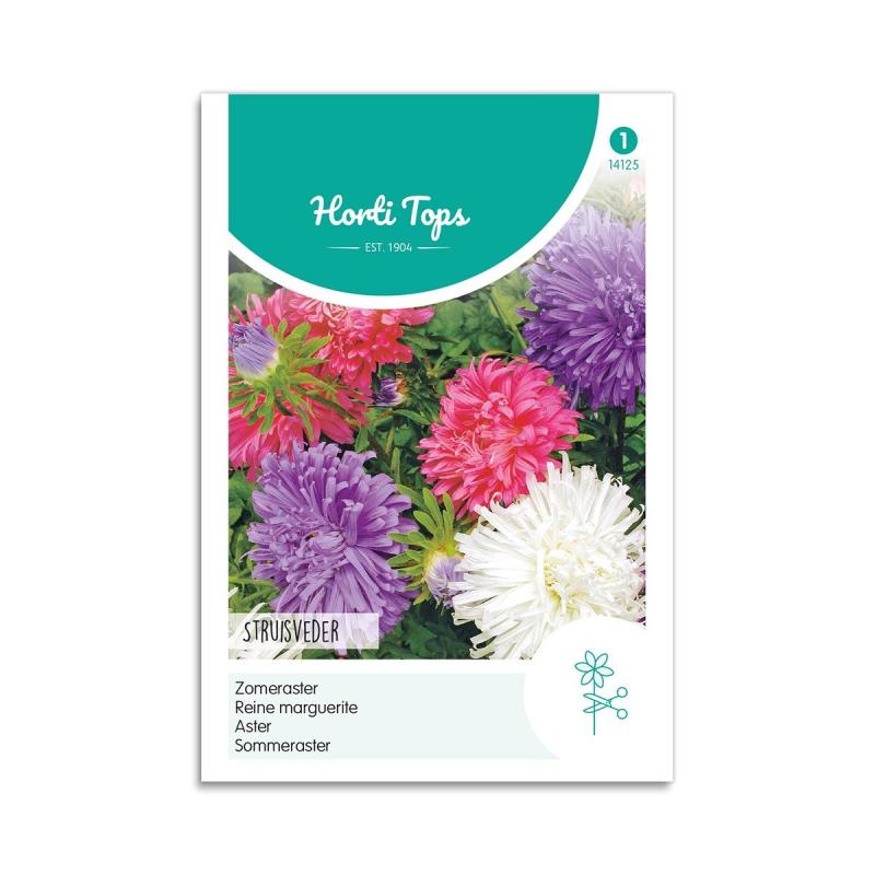 Asters Frø Mix  Quot Struisveder Quot  Horti Tops