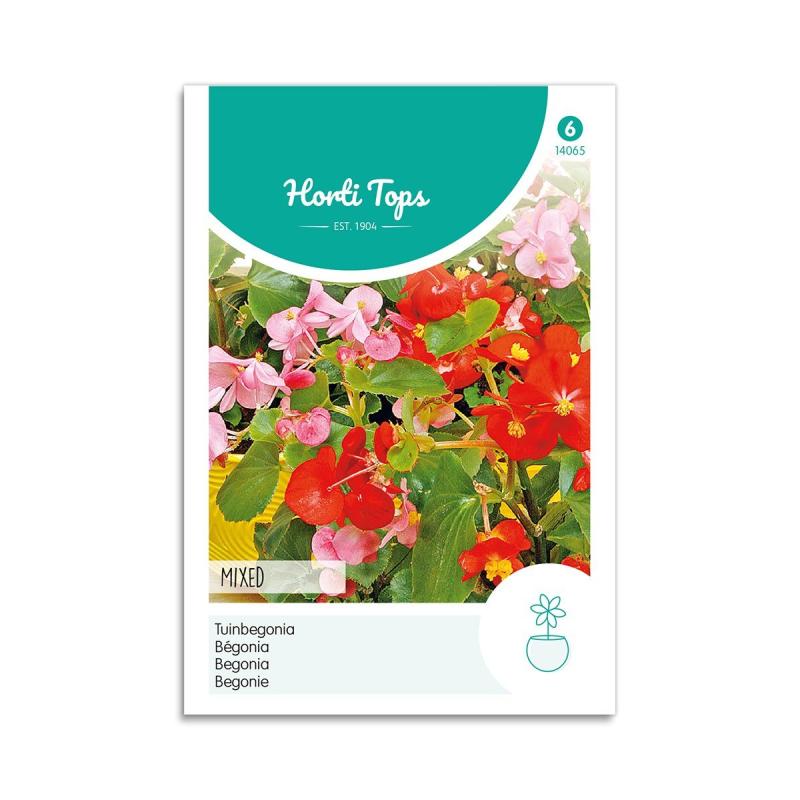 Begonie Frø Mix Horti Tops