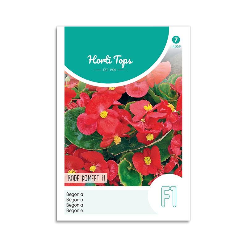 Begonie Frø  Quot Red Comet F1 Quot  Horti Tops