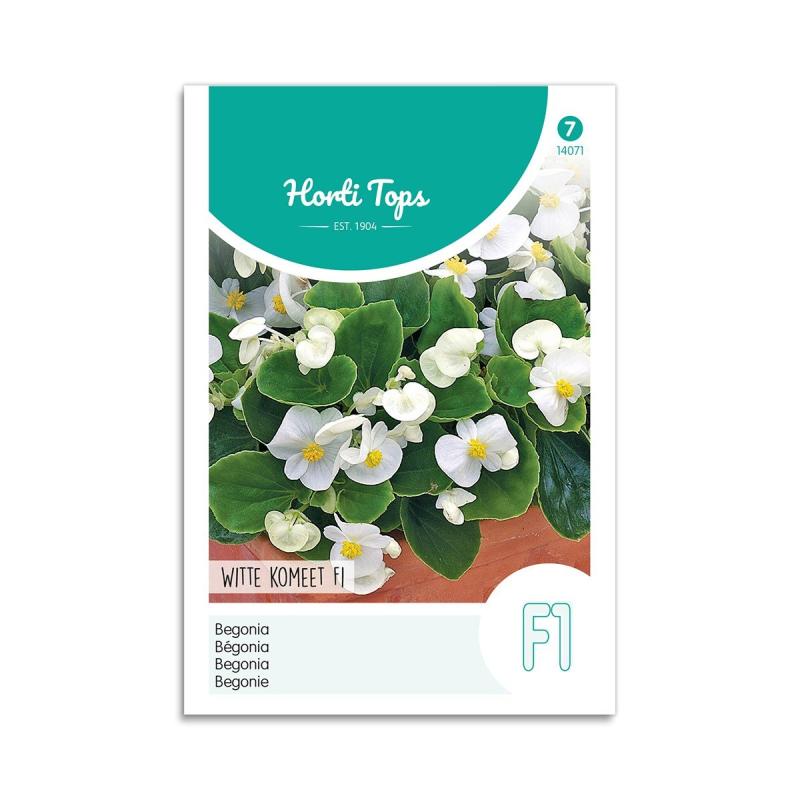 Begonie Frø  Quot White Comet F1 Quot  Horti Tops