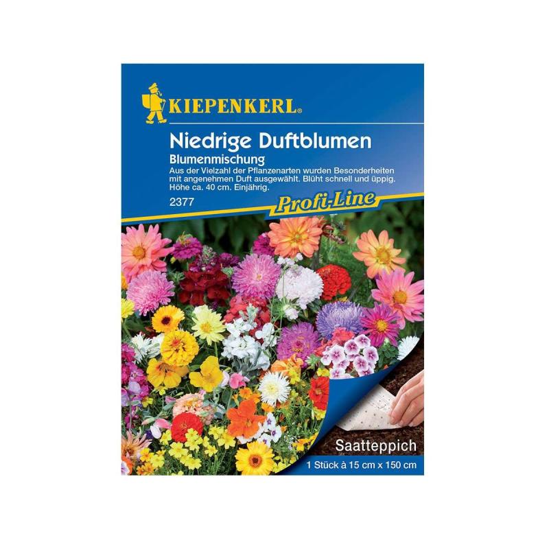 Blomsterblanding Duftende Sommerblomster     Meter Såtæppe