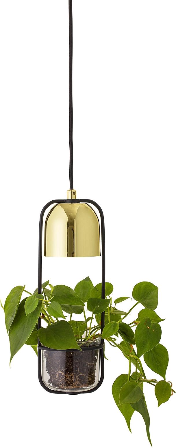 Pendellampe Bloomingville Cozy Med Integreret Planteskål Glas Jern Guld ø10 H34