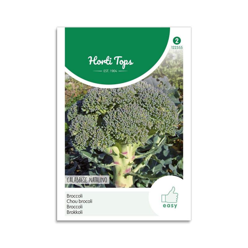 Broccoli Frø  Quot Calabria Natalino Quot  Horti Tops
