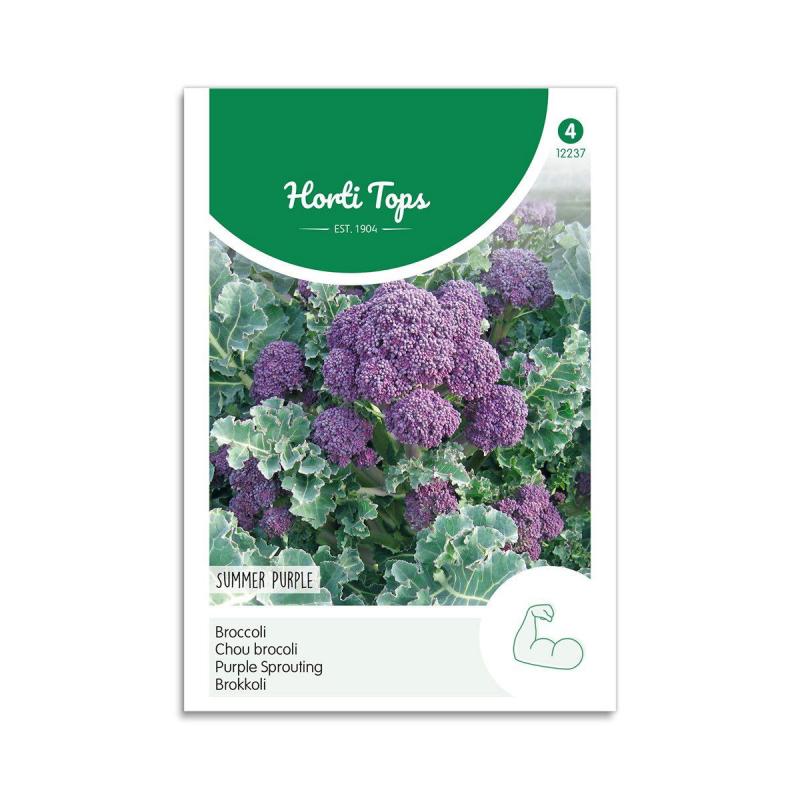 Broccoli Frø  Quot Summer Purple Quot  Horti Tops
