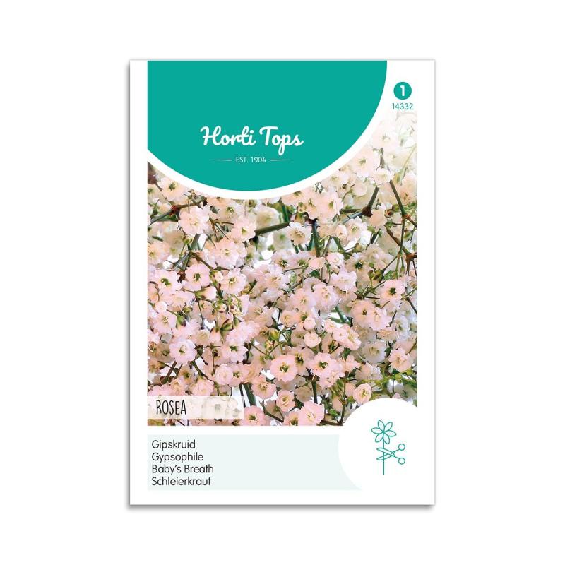 Brudeslør Frø  Quot Rosea Quot  Horti Tops