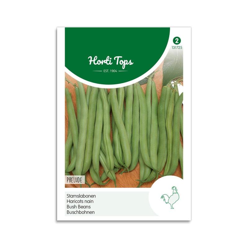 Buskbønne Frø Quot Prelude Quot Horti Tops