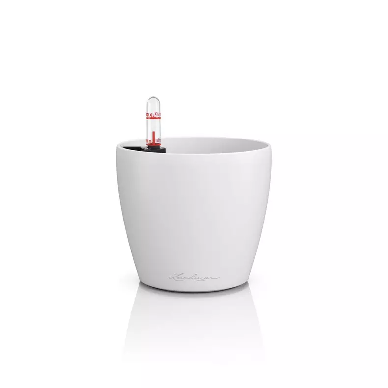Classico Color 12 White