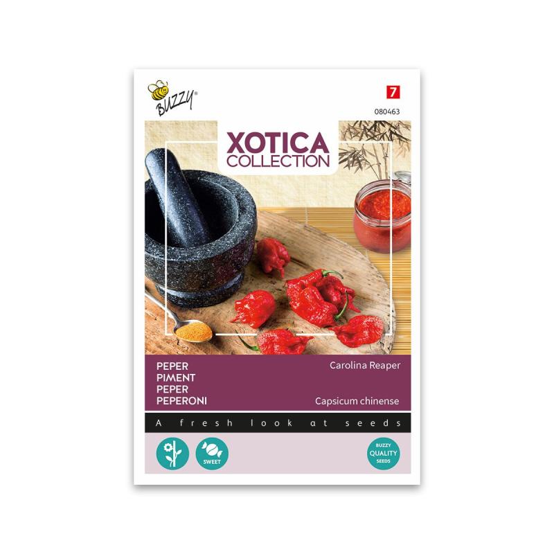 Chili Carolina Reaper Buzzy