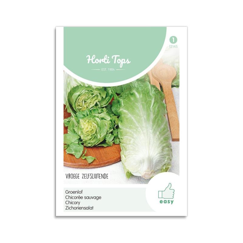 Cikorie Salat Frø  Quot Pan   Zucchero Quot  Horti Tops