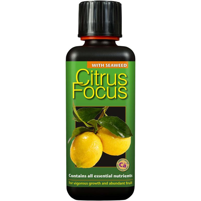 Citrus Focus Gødning 300ml