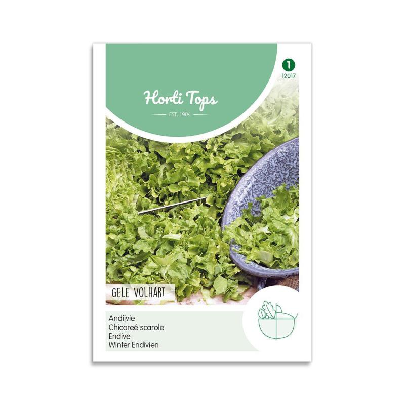 Endiviesalat Frø  Quot Blonde   Coeur Plein Quot  Horti Tops