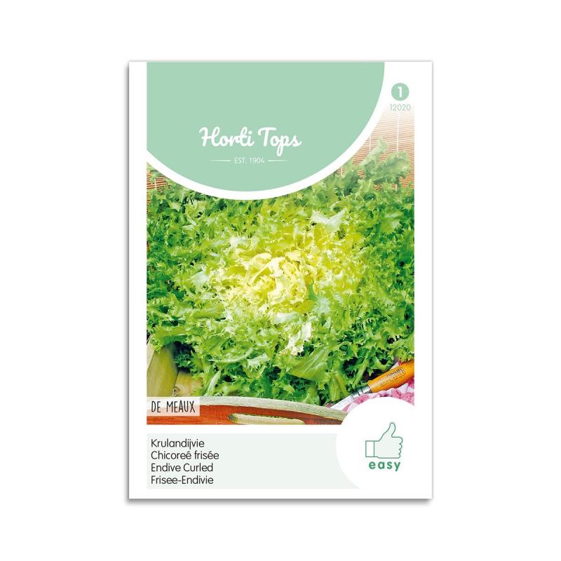 Endiviesalat Frø  Quot   Meaux Quot