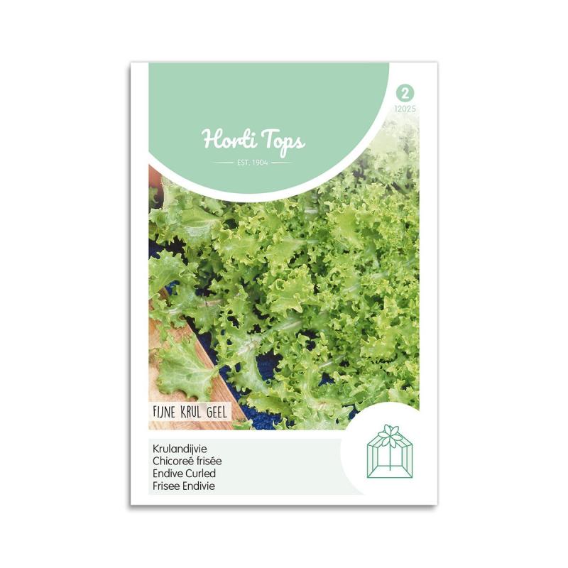 Endiviesalat Frø  Quot White Curled Quot  Horti Tops