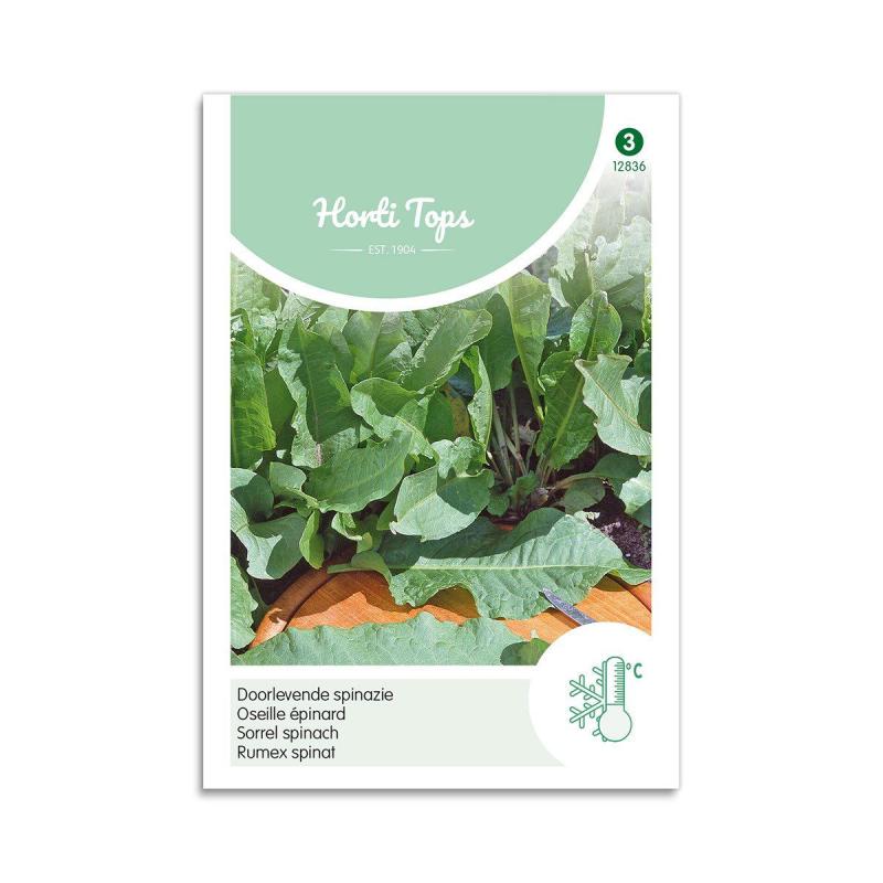 Engelsk Spinat Frø Horti Tops