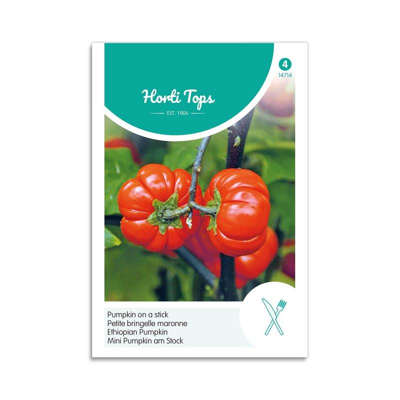 Etiopisk Aubergine Nakati Frø Quot Pumpkin Stick Quot Horti Tops