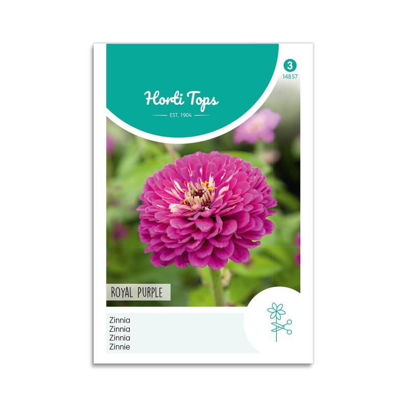Frøkenhat Frø Quot Royal Purple Quot Horti Tops