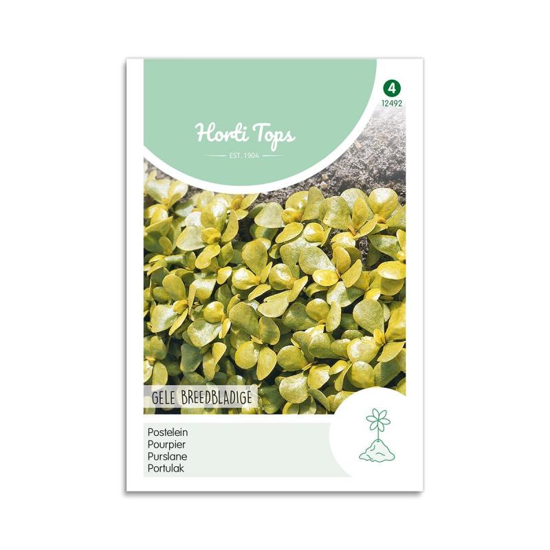 Gul Portulak Frø Quot Gele Breedbladige Quot Horti Tops