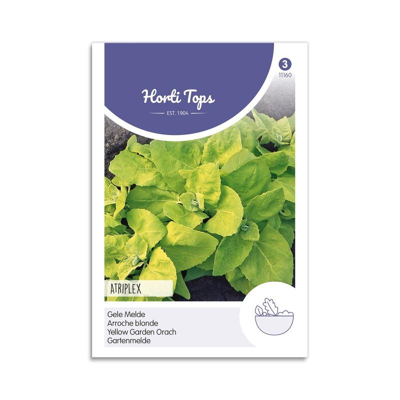 Havemælde Frø Quot Atriplex Hortensis Quot Horti Tops