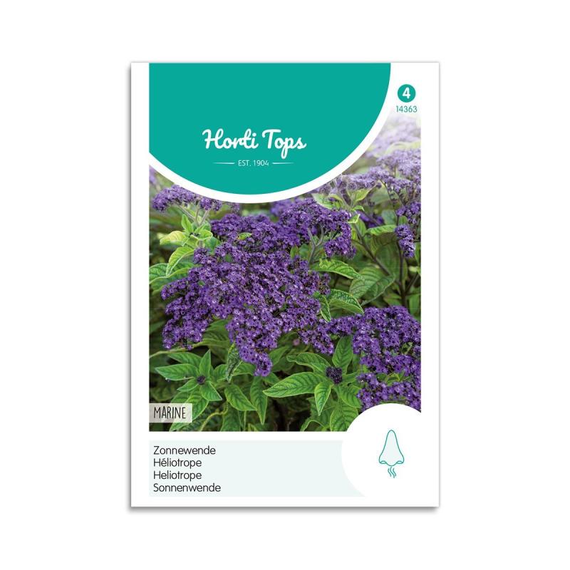 Heliotrop Frø  Quot Marine Quot  Horti Tops