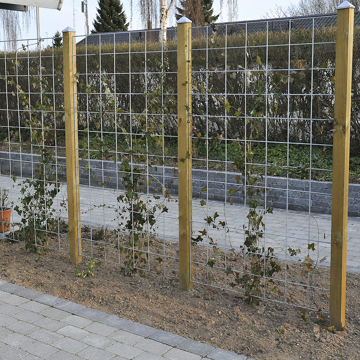 Hortus Rio-net Espalier Galvaniseret 90 180 Inkl Beslag