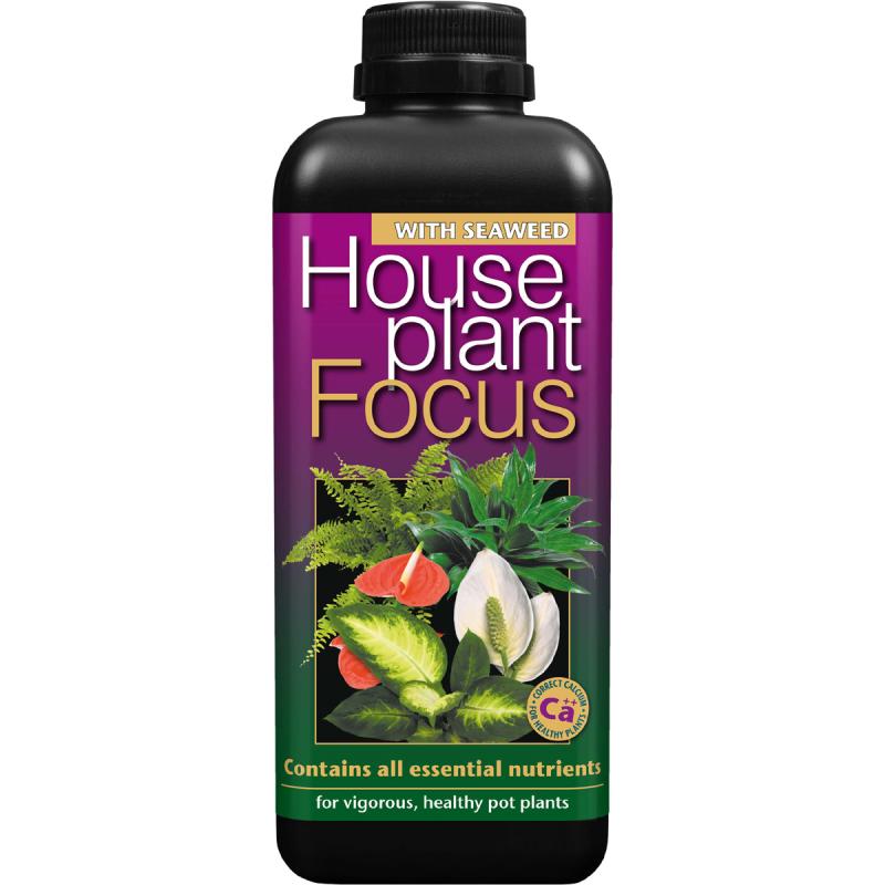 Houseplant Focus  Stueplantegødning   Tang 1l